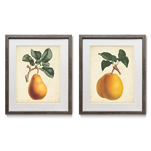 Renditions Gallery Simple Pears 2 Framed Artwork Set, Colorful Floral, Botanical, Flower Art, Yellow, Orange, Green, Distressed Silver Frame & White Mat, Plexiglass, 16 In W X 20 In H, Made in America