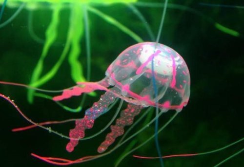 最安値 Limited リアル 人工クラゲ アクアリウム シリコン 人工 水槽 金魚 熱帯魚 くらげ シームーン 3匹セット Sp Smnの価格比較