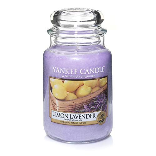 Best Yankee Candle Eucalyptus 2024 Where to Buy?