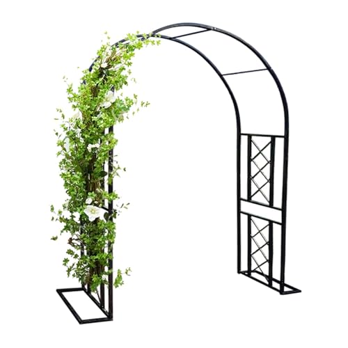 Arches de rosiers en métal noir : treillis de jardin stable à construction robuste
