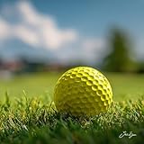 Second Chance Recycled Lake Golf Balls, 12 Pack, Mixed Golf Balls, Ideal for Practice and Play, Golf Ball Assortment, Yellow - Image 7