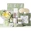 Sage Green - Eucalyptus Mint