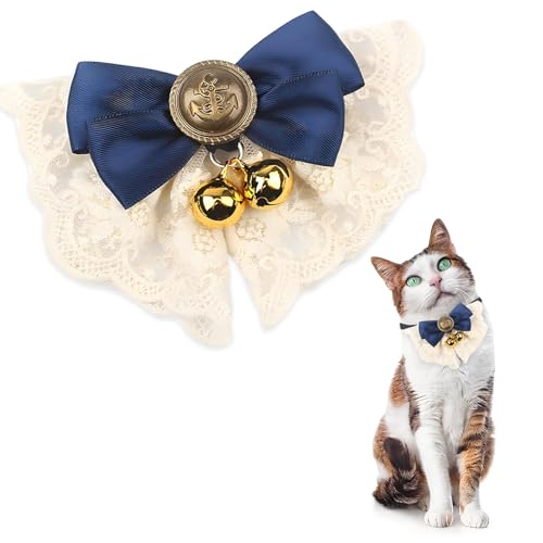 Maiitmor Lp Lp ^p p ybgp t@bVňS \ 킢t SobN {