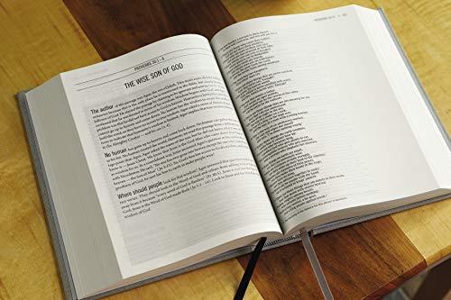 The Jesus Bible, NIV Edition, Cloth Over Board, Gray Linen, Comfort Print: The Jesus Bible, New Inte