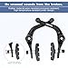 BMX Rear Aluminum Alloy Rim Brake Set，Bike Rear U Brakes Set, Complete Rear Brake kit for BMX Bike, Right Bike Brake with Cables and Brake Pads,Rear Rim Brake Set，Bike Rim Brake Sets,Universal