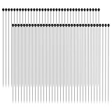 BUGUUYO 100 Pcs Stainless Steel Specimen Pins for Entomology Dissection Science Education with #0 Size for