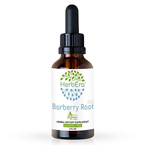 Barberry Root B60 Alcohol-Free Herbal Extract Tincture, Super-Concentrated Organic Barberry (Berberis Vulgaris) (2 fl oz)
