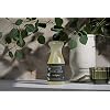 Fine Fabric Wash (16.9 Ounce): Eucalyptus