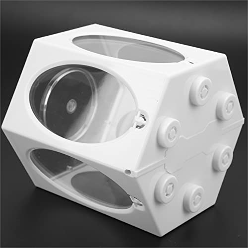 Aquário Aquário, Aquário Hexagonal de Plástico Durável e um Canto Arredondado Projete uma Visão Múlt