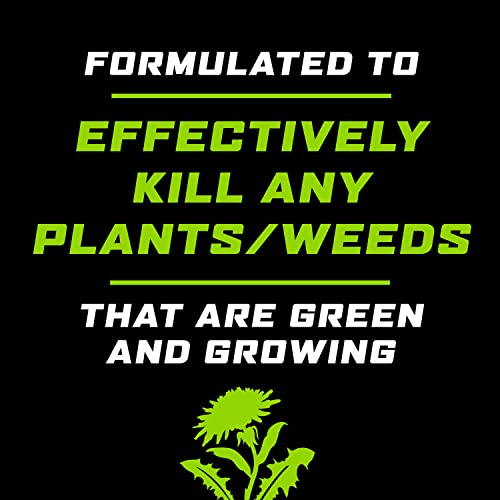 Ortho 4613264 Groundclear Weed And Grass Killer, Ready-To-Use With Comfort Wand, Broadleaf Weed Control For Landscape Beds thumb #4