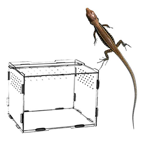 Mantis Breeding Box Acrylic Reptile Feeding Box Creeper House Terrarium Containers for Mini Pet Animal - Image 4