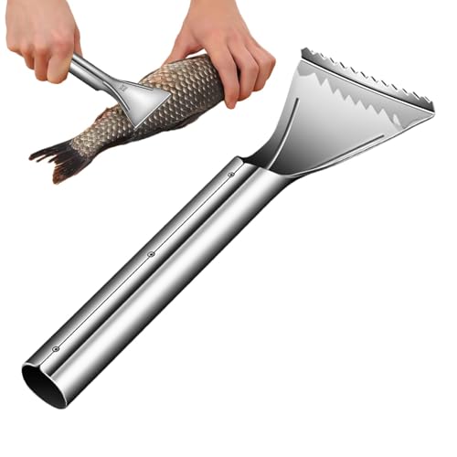 Écailleur de poisson portable, en acier inoxydable, manuel portable, ustensile de cuisine en acier inoxydable 304, pour la cuisine quotidienne, les chefs professionnels, les restaurants