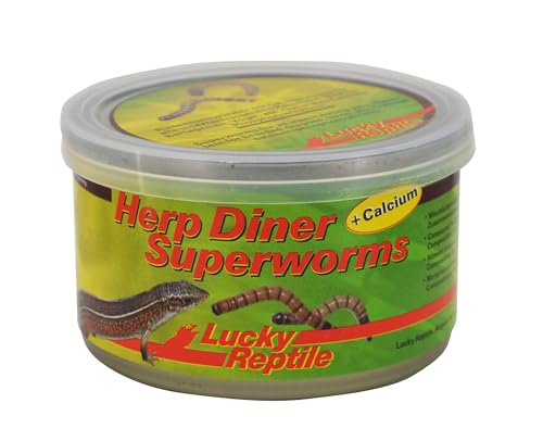 Lucky Reptile Herp Diner Superworms