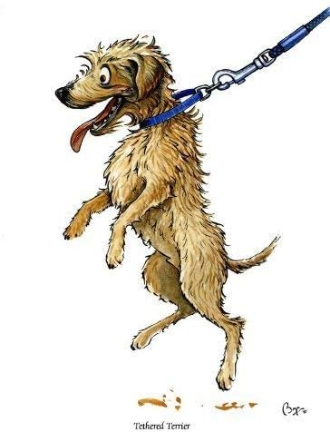 Tethered Terrier Greeting Card by Bryn Parry