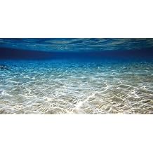 AWERT 24x12 inches Ocean Floor Aquarium Background Underwater Fish Tank Background Undersea Theme Aquarium Background