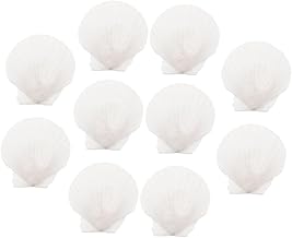 NOLITOY 10 Peças Acessórios De Decoração De Tanque De Peixes Decoração De Concha De Paisagismo Decorar Concha Branca Oceano Talheres Naturais Tanque De Peixes Manual De Aquário Decorações