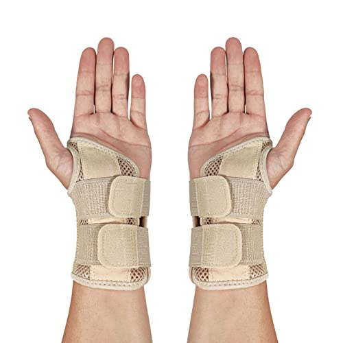 T|[gu[X2pbNA\Ȏ荪ǎXvgA荪ǗpyʃXvgAnhT|[gAF֐߉̒ɂ݂̌y