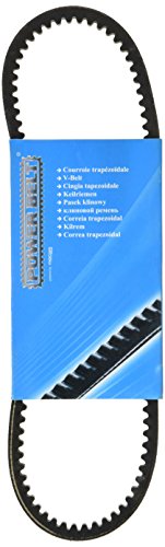 Courroie trapézoïdale de remplacement MAPCO 119650 pour VW Passat