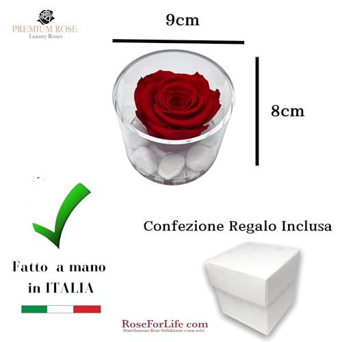 Premium-rose.com Runde Box mit stabilisierter roter Rose und Carrara-Marmor, Geschenkidee für Freundin, Ehefrau, Mutter, Weihnachten, Valentinstag, Symbol der ewigen Liebe, (Rot 1090)