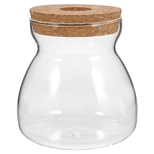 iplusmile Tarro de Cristal para Plantas Estación de Propagación de Plantas Contenedor de Terrario para Micropaisaje Tarro para Plantas de Escritorio Jarrones Hidropónicos de