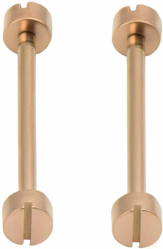 Ewatchparts 2-16mm Replacement Tube & Screw Pin Compatible With Cartier Watch Band Strap Lug Rose Gold