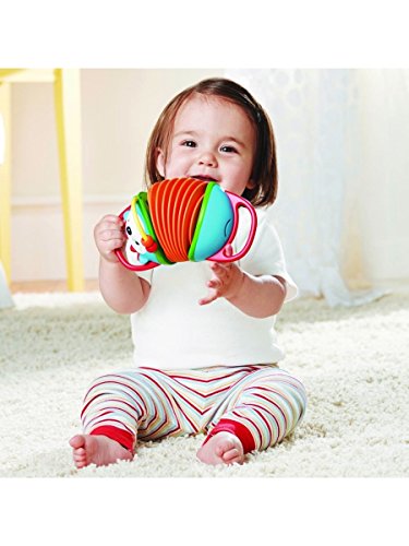 Skip Hop Accordian Baby Musical Toy, Explore & More, Hedgehog - image 4