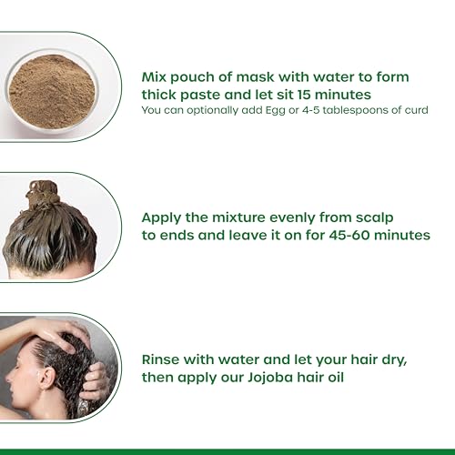 Image of Ayurvedic Hair Mask for All Hair Types | Natural & Chemical-Free Hair Pack with Amla, Bhringraj, Shikakai, Hibiscus | For Hair Growth, Strength, Conditioning & Frizz Control - 1 Count