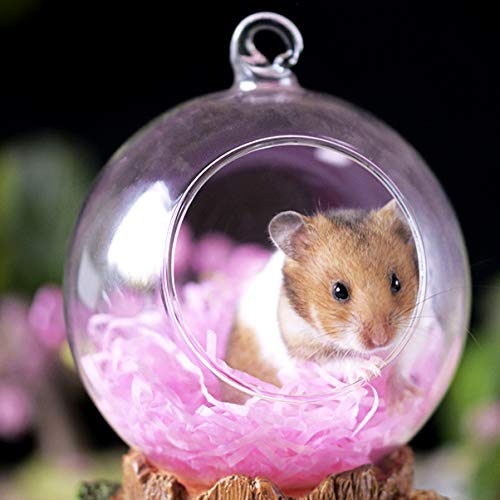 ハムスター ケージ ガラスの人気商品 通販 価格比較 価格 Com