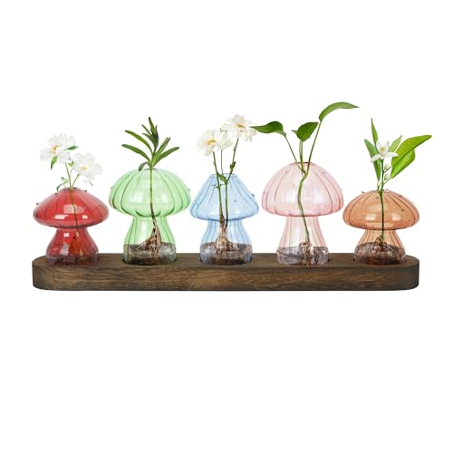 ohbien 5Pcs Mushroom Glass Vase with Wooden Stand, Coloured Mushroom Propagation Station Small Cute Mushroom Vase Set for Table Decoration for Decor Window Home Bedroom Living Room