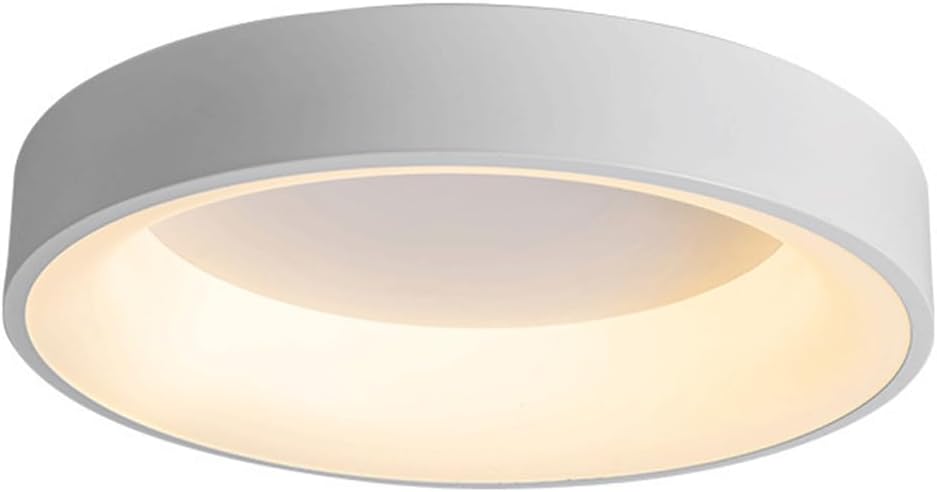 Personalized Circular Ceiling Lamp Energy Saving Creative Panel Lights Easy to Install Minimalist Style Ceiling Flush Lights Entrance Hall Decorative Flat Light for Living Room Dining Room