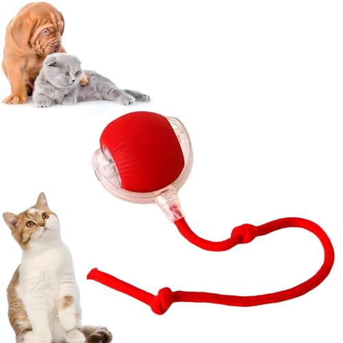 Xinshijie Speedy Tail 2.0 Interactive Dog Ball, Ive Cat Toy for Indoor Cats Kitten, Interactive Cat Toy, Active Rolling Ball With Tail for Dogs (Red)