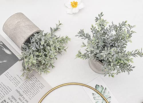 Der Rose 6Pcs Mini Fake Plants Artificial Potted Plants Desk Plants For Home Office Farmhouse Bathroom Bedroom Decor #TOP3