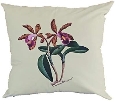 Capa de Almofada 45x45 Cattleya Quinquecolor