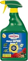 Substral Celaflor Pilzfrei Saprol Rosen AF, 750ml Sprühflasche - anwendungsfertiges Spray gegen Pilzkrankeiten an Rosen