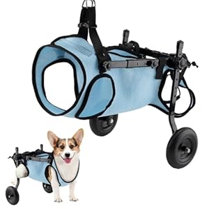 Dog Wheelchair for Back Legs, Dog Wheelchair Cart, Doggy/cat Wheelchairs with Disabled Hind Legs Walking, Mobility Aids for Small Pets Hind Limbs, Dogs Carts with Wheels, Light Weight,M
