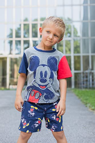 Image of Disney T-Shirt & French Terry Shorts Set Toddler to Big Kid Sizes (2T - 14-16)