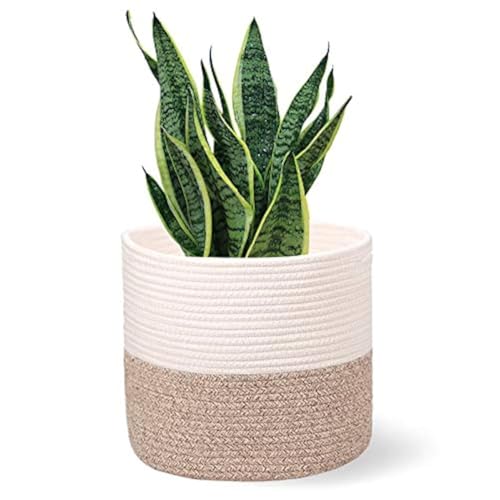 Comparison: Best Pots For Rubber Plants 6 Oradrem Planter Baskets for Indoor 11" Planters Cotton Rope Flower Plant Pots Cover,Woven Storage Baskets for Crafts, Organization Modern Home Decor 11"x11"Khaki