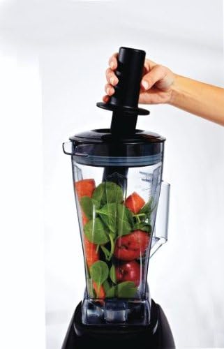 Oster Versa 1400-watt Professional Performance Blender