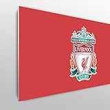 Licensed Décor Liverpool FC Kopfteil für Einzelbett, verstellbar, 100 x 75 cm (B x H), mit farbigen Wappen auf roter Marke