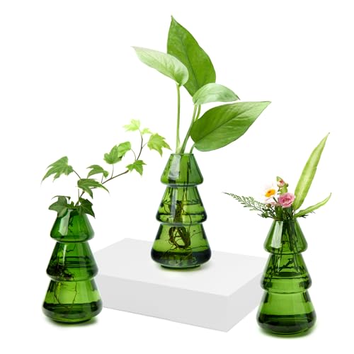 Weihnachtsdeko in Glasvasen 7 XXXFLOWER Kleine Glasvasen 3 Stück Set Kleine Vasen für Tischdeko...