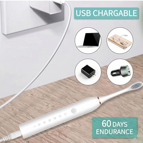 Image of Oblivion Electric Toothbrush - White Rechargeable Sonic Toothbrush with 3 Extra Brush Heads - Waterproof USB Charging Soft Bristle Tooth Brush for Adults Advanced Oral Care Portable Design (Pack of 1)