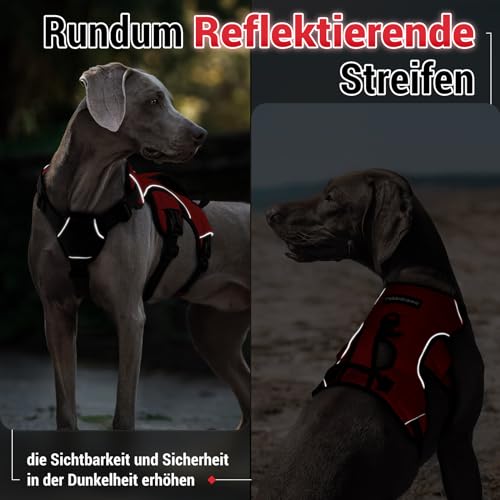 rabbitgoo Ausbruchsicheres Hundegeschirr Mittelgroße Hunde mit Griff, Anti Zug Sicherheitsgeschirr Hund Atmungsaktiv, Verstellbare Brustgeschirr, Gepolstertem Hundeweste, Panikgeschirr, Rot S