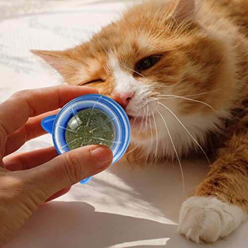 Bola de parede Catnip Catnip - Bolas de catnip de parede para limpeza de dentes dentais de gatos de