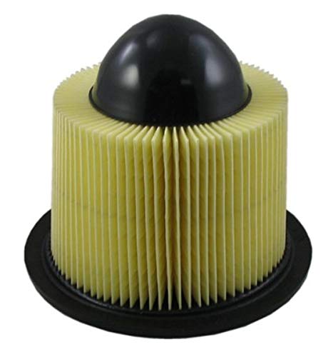 Pentius PAB8039 UltraFLOW Air Filter for FORD Mustang(96-04), LINCOLN Continental(95-02), Navigator(97-08), Light-duty Trucks, Vans(97-08)