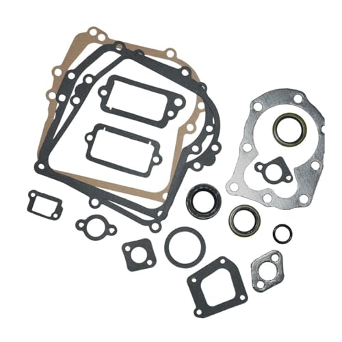 Jeu de joints moteur pour BS 794209 et 699933 kit complet