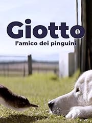 Giotto, l'amico dei pinguini