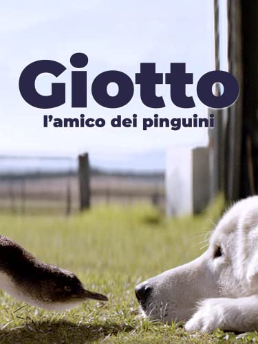  Giotto, l\'amico dei pinguini