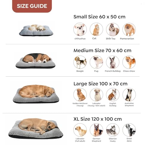 Image of Dog Beds For Large Dogs 70x100cm, Large Dog Bed Cotton Design ,Golden Retriever cat pillow Bed With Premium Velvet Finish And Soft Microfiber Filling For Everyday cooling bed for dogs.