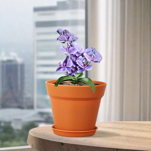 Homeuouz 6 Packs Blumentopf mit Untersetzer, 15.2cm Pflanzentopf, Plastik Übertopf mit Mehrere Ablauflöchern, Hydrokultur Topf… – Ansicht 6