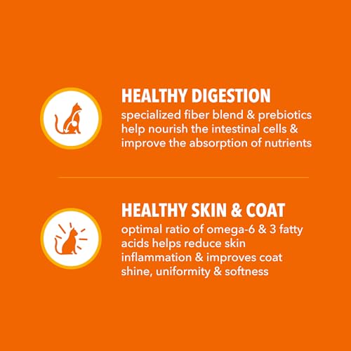 IAMS Proactive Health Dry Cat Food, Healthy Cat Food Dry Recipe for Adults, with Chicken 22 lb. Bag